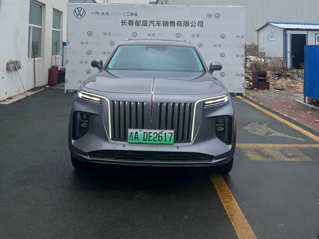 Hongqi E-HS9 2023 из CN, фото 2