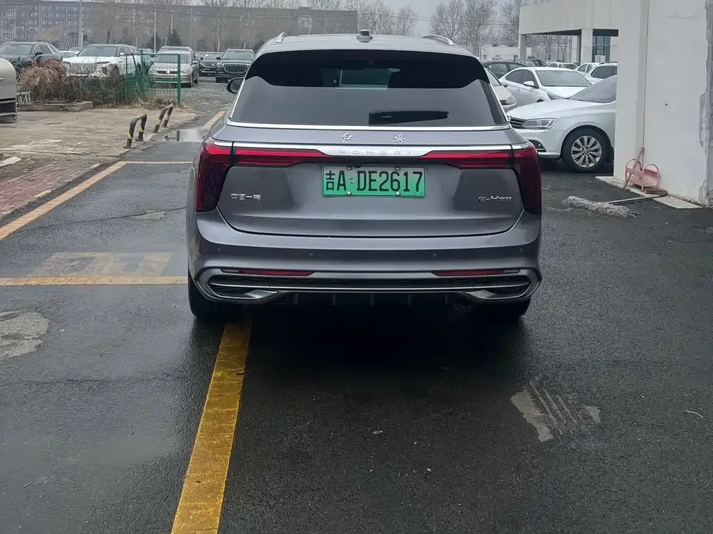 Hongqi E-HS9 2023 из CN, фото 10
