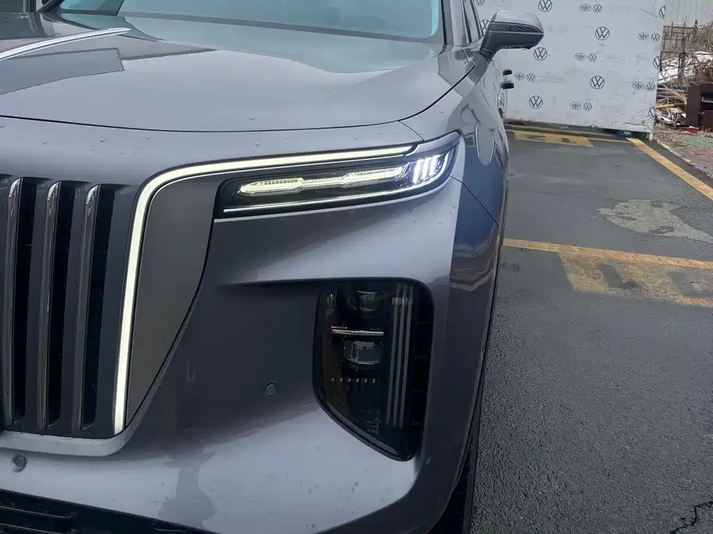 Hongqi E-HS9 2023 из CN, фото 4
