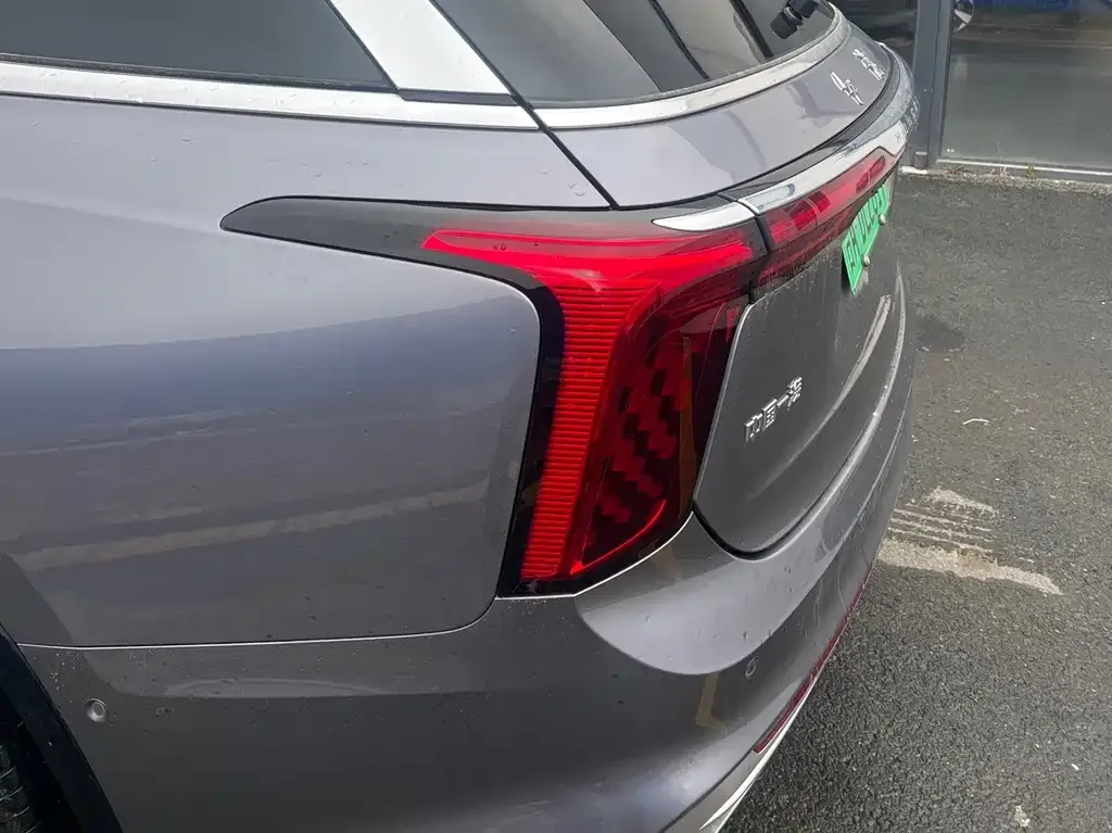Hongqi E-HS9 2023 из CN, фото 5