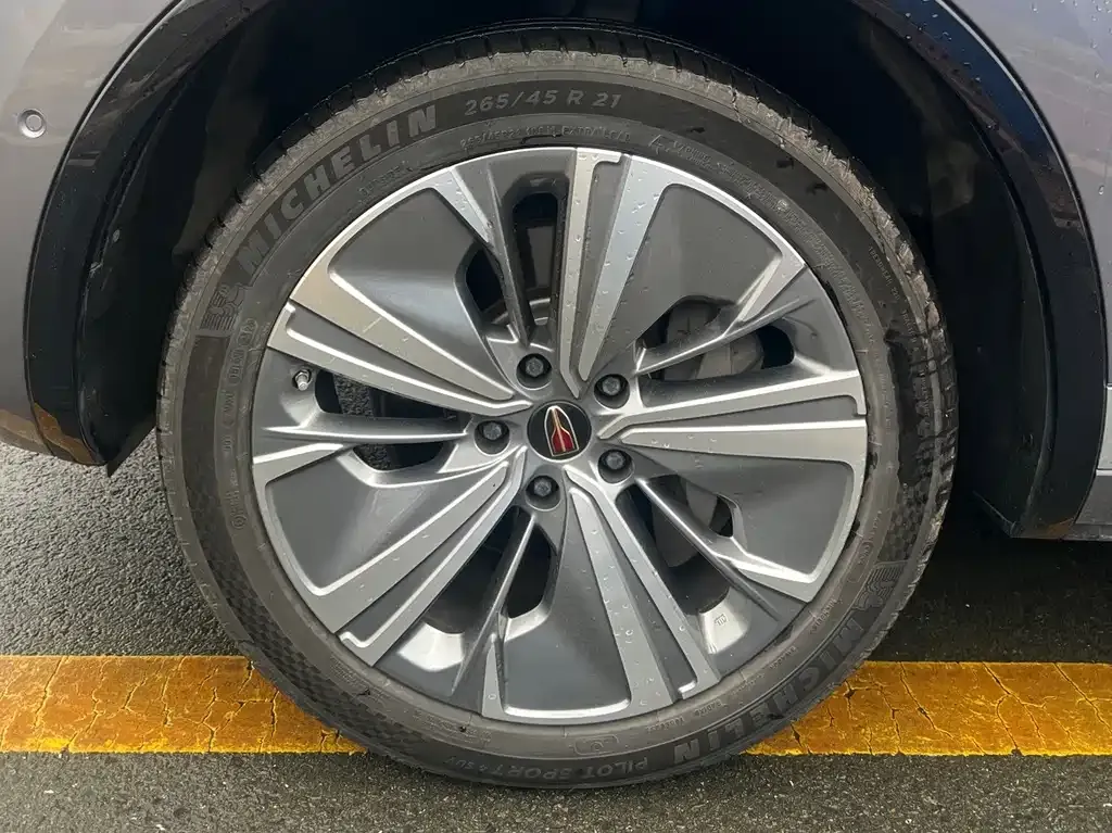 Hongqi E-HS9 2023 из CN, фото 9
