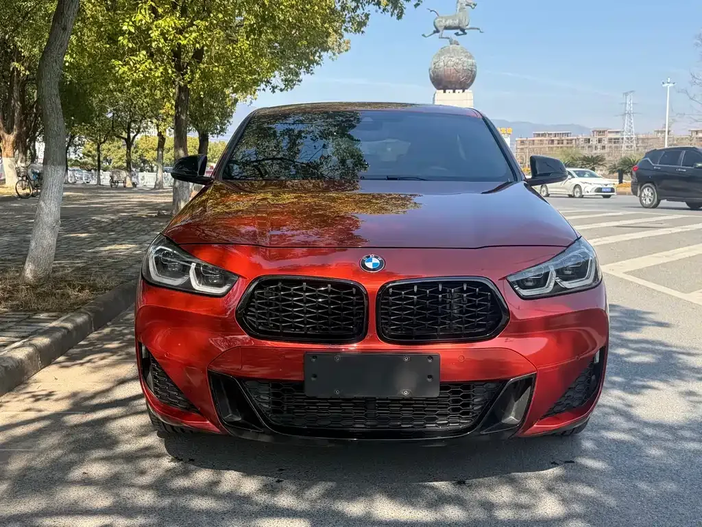 BMW X2 2022 из CN, фото 8