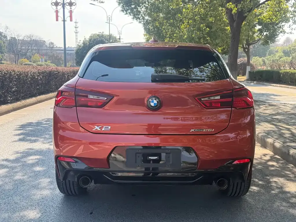 BMW X2 2022 из CN, фото 4