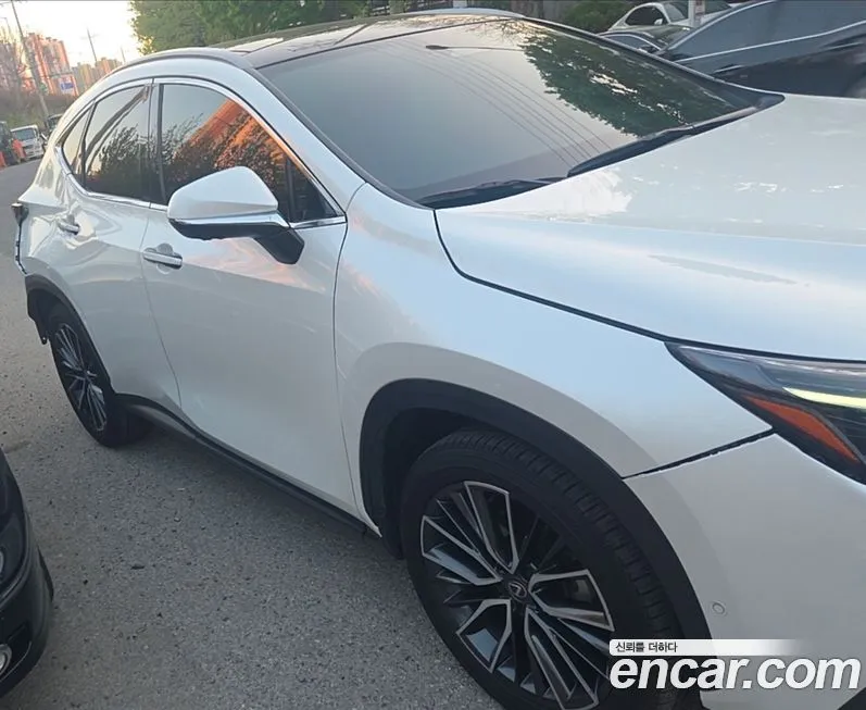Lexus NX 2024 из KR, фото 8