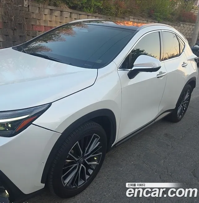 Lexus NX 2024 из KR, фото 3