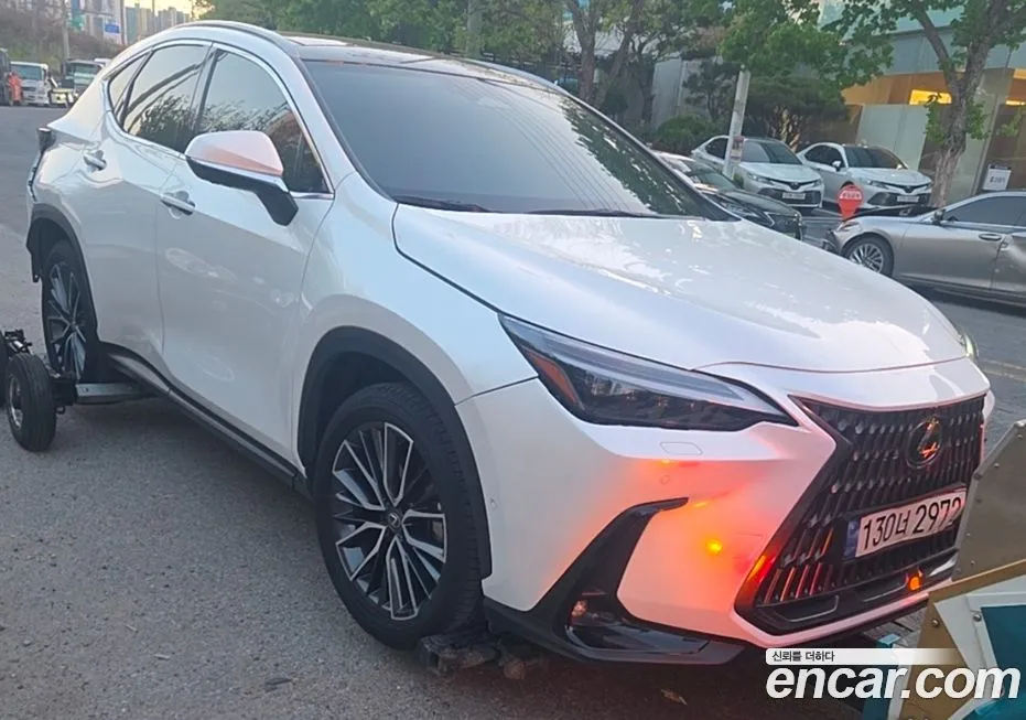 Lexus NX 2024 из KR, фото 7