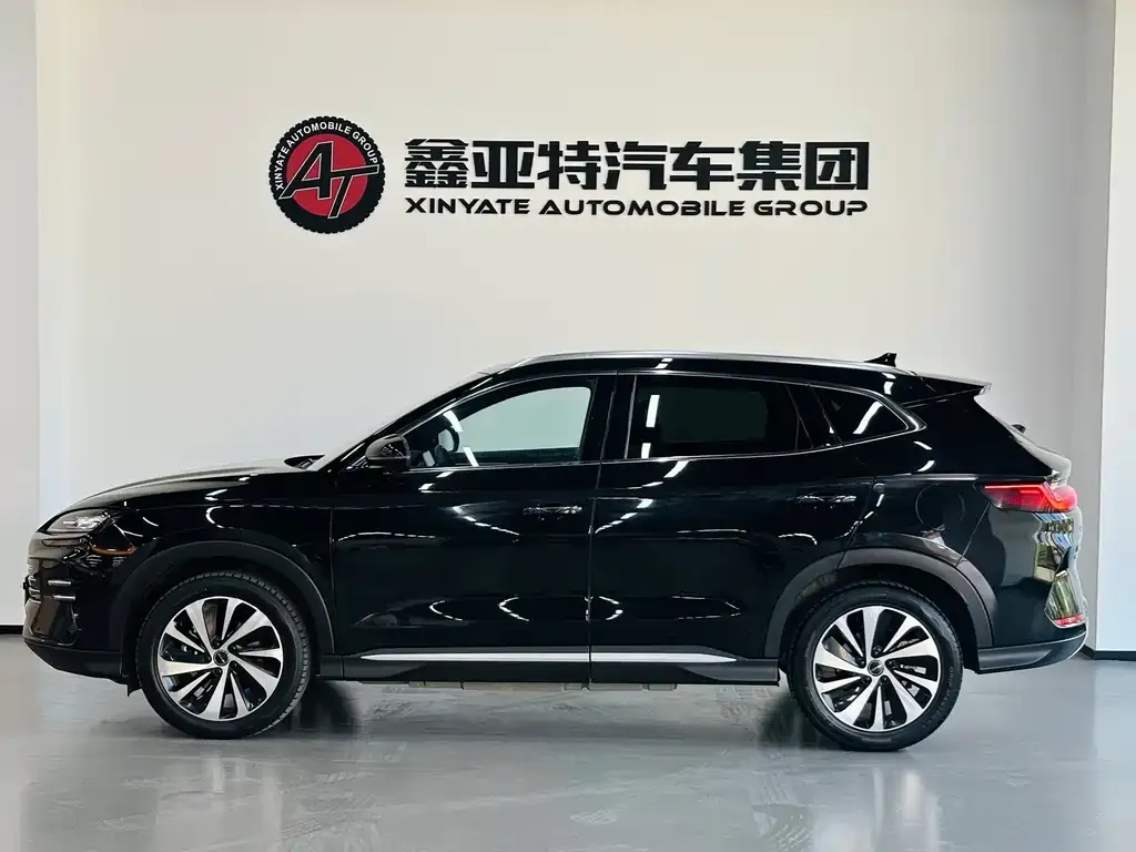 BYD PLUS New Energy — фото 7