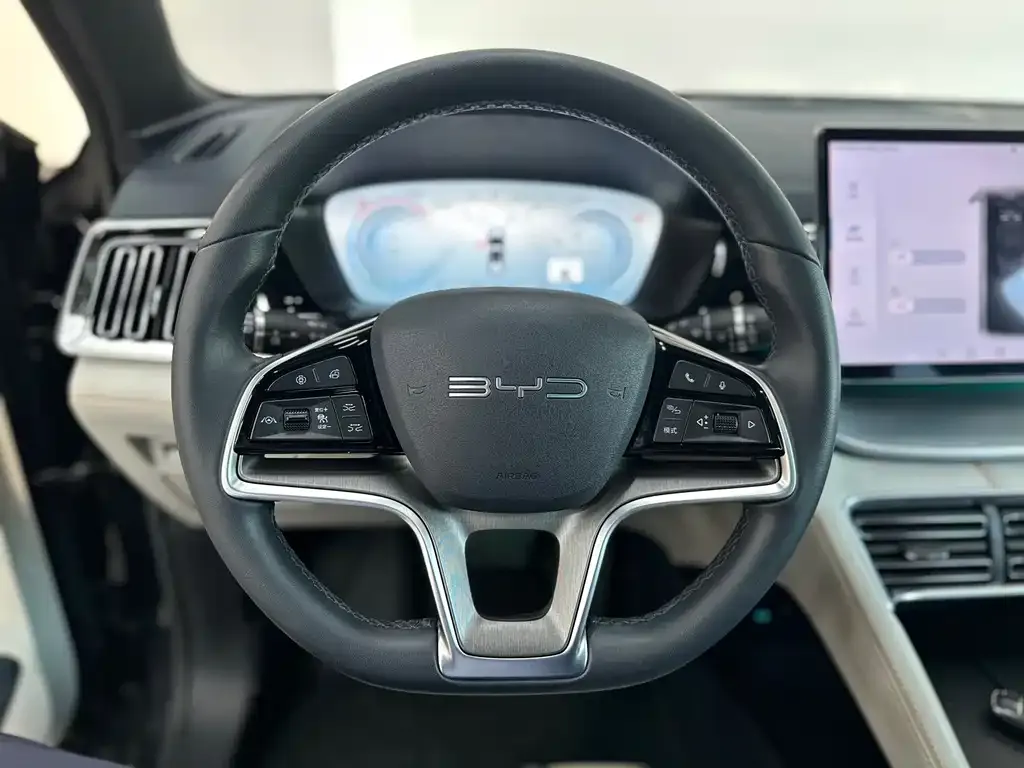 BYD PLUS New Energy — фото 3