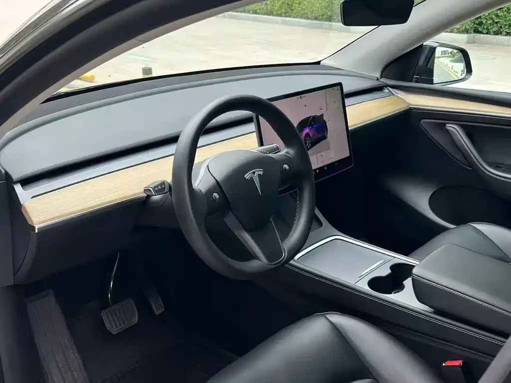 Tesla Model Y — фото 8