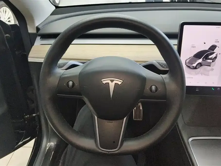 Tesla Model Y — фото 2