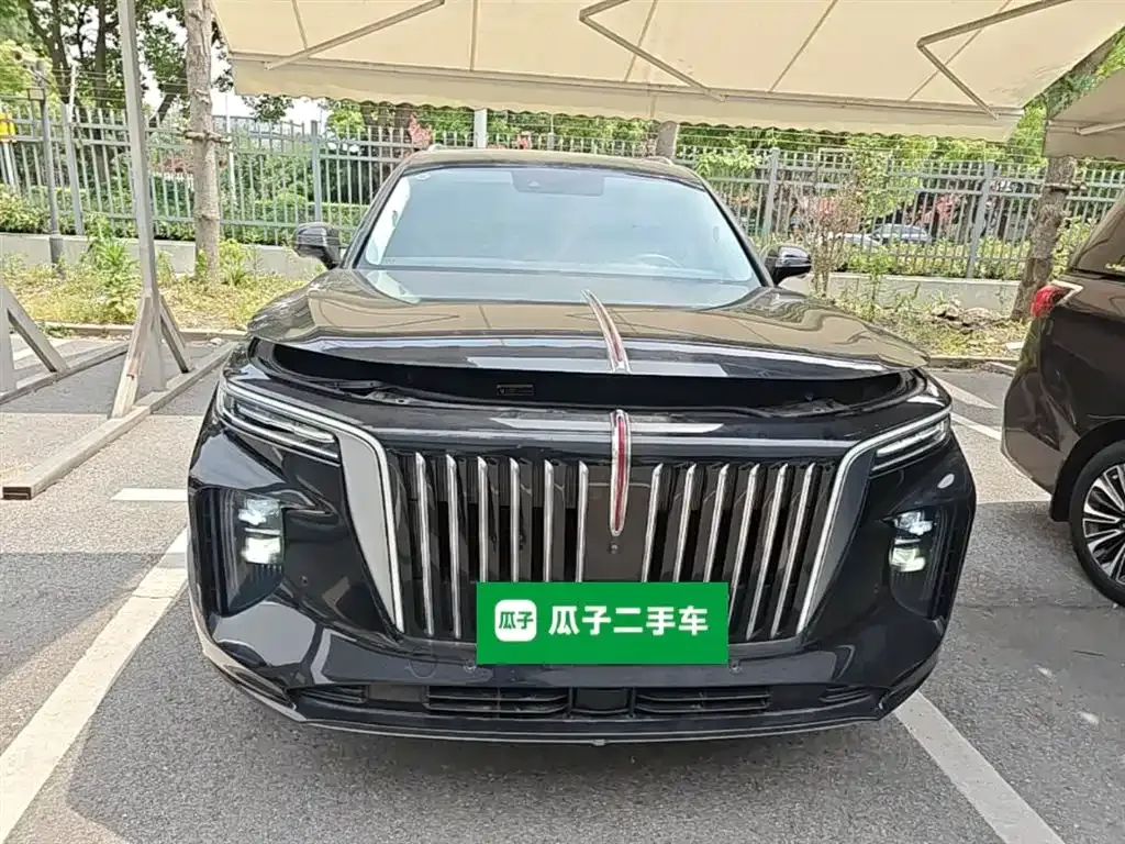 Hongqi E-HS9 2023 из CN, фото 8