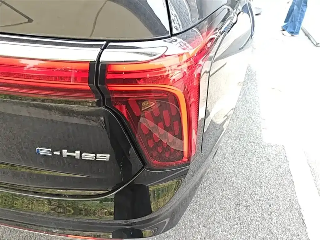 Hongqi E-HS9 2023 из CN, фото 4