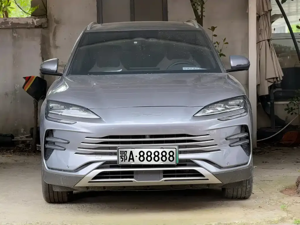 BYD PLUS New Energy — фото 10