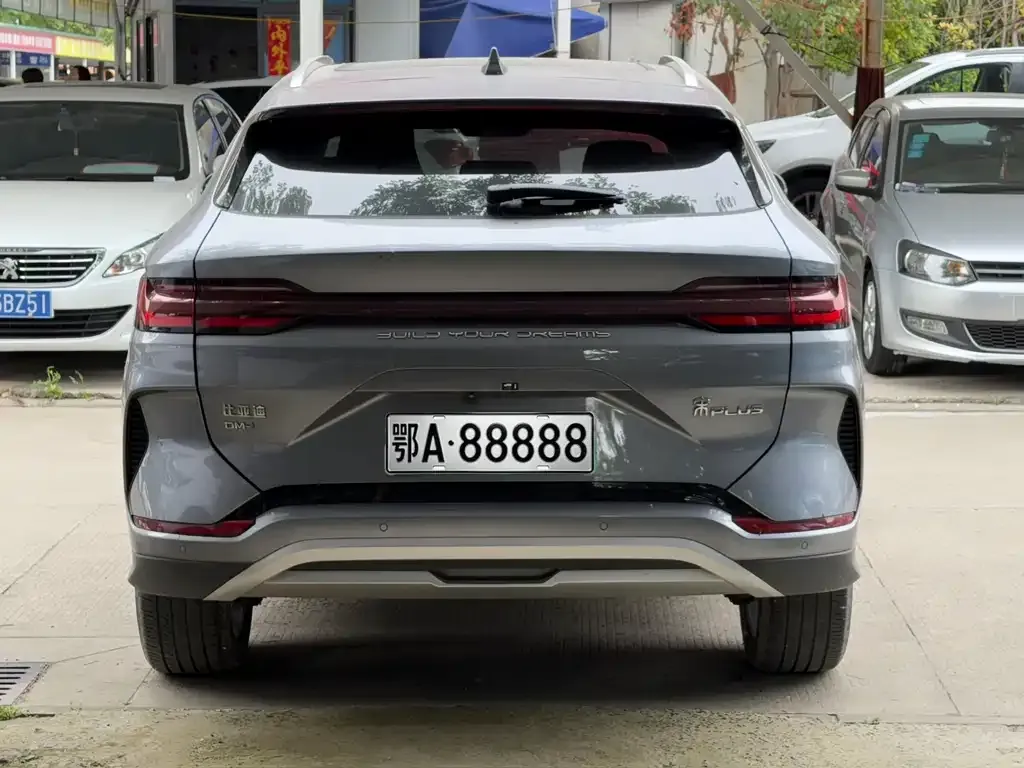BYD PLUS New Energy — фото 8
