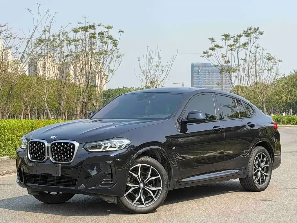 BMW X4 — фото 1