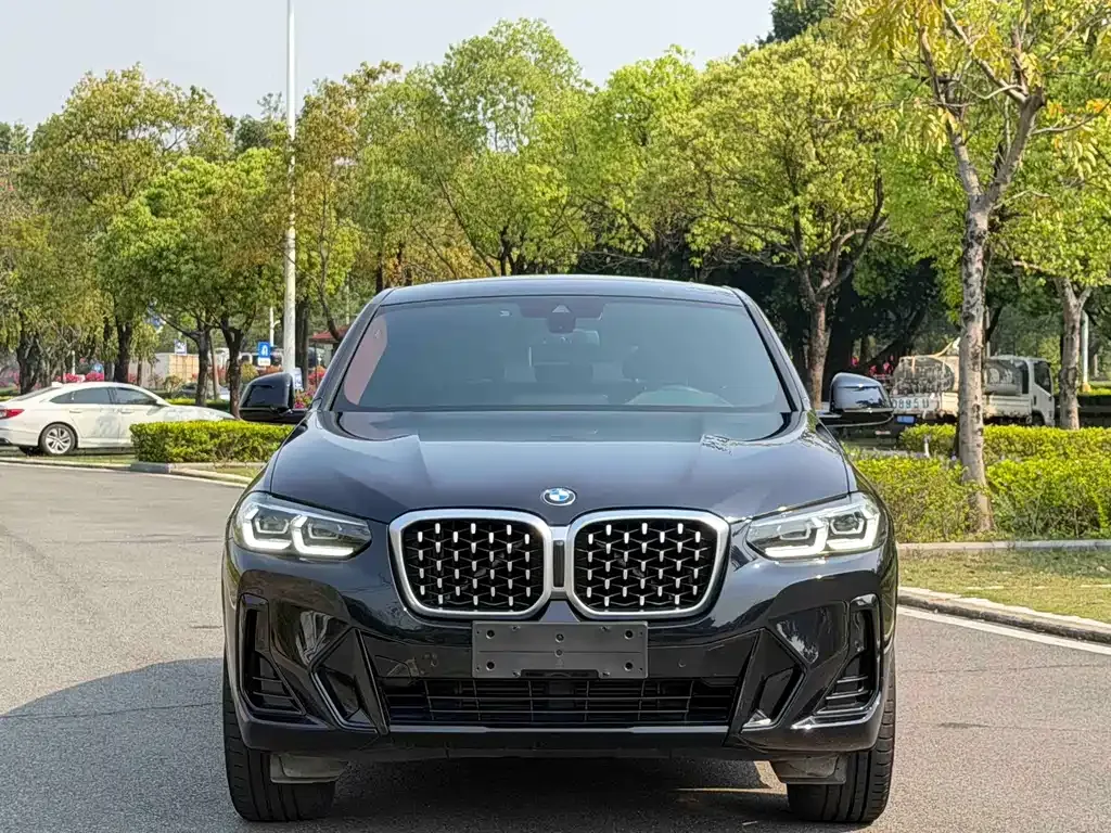 BMW X4 — фото 6