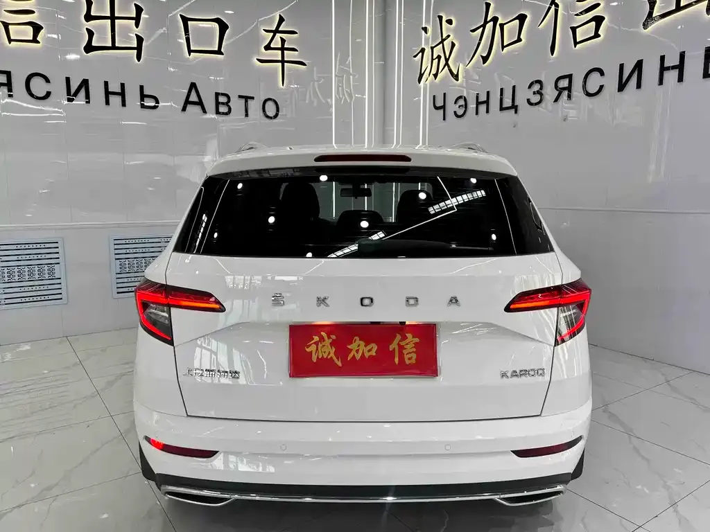 Skoda Karoq — фото 8