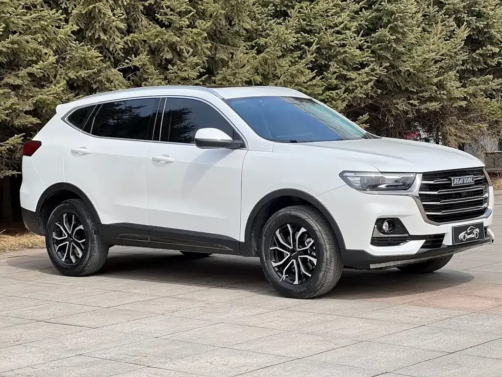 Haval H6 2022 из CN, фото 3