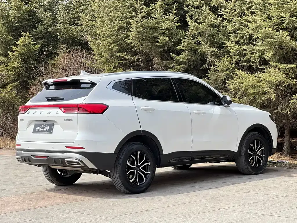 Haval H6 2022 из CN, фото 5