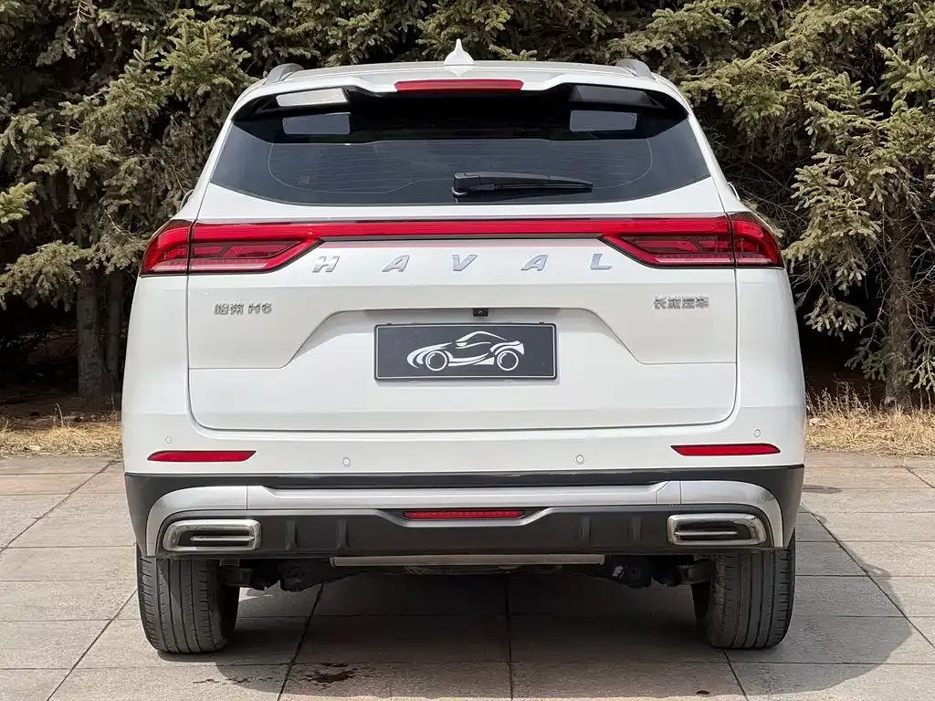 Haval H6 2022 из CN, фото 9