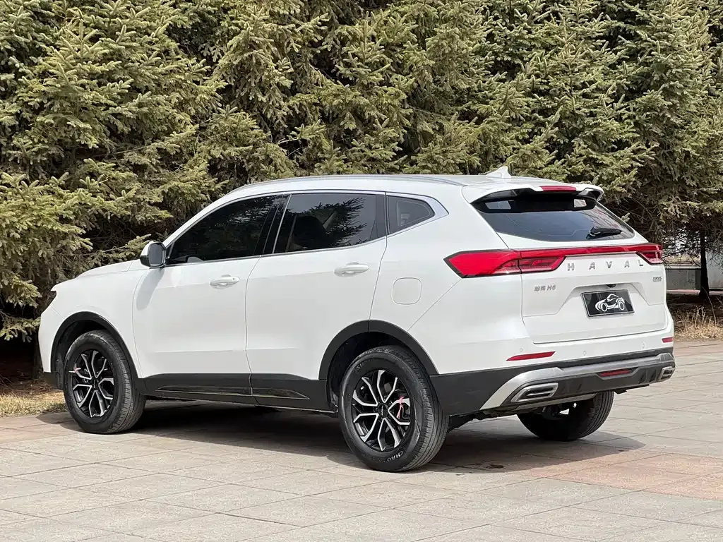 Haval H6 2022 из CN, фото 7