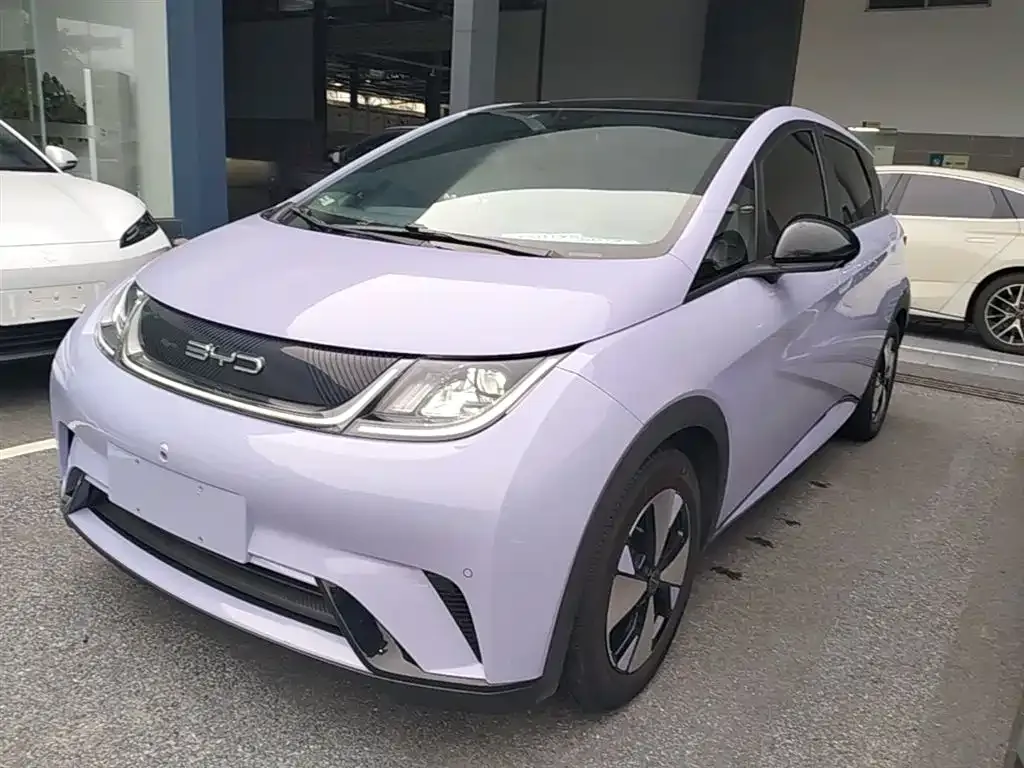 BYD Dolphin 2023 из CN, фото 6
