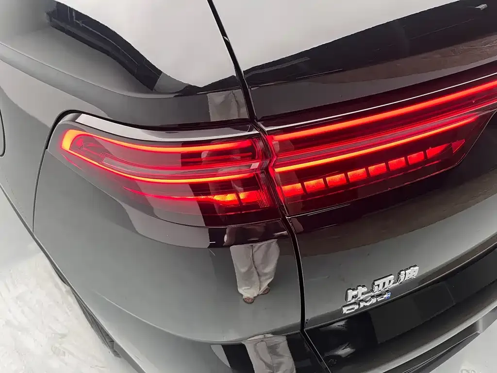BYD Pro New Energy — фото 9