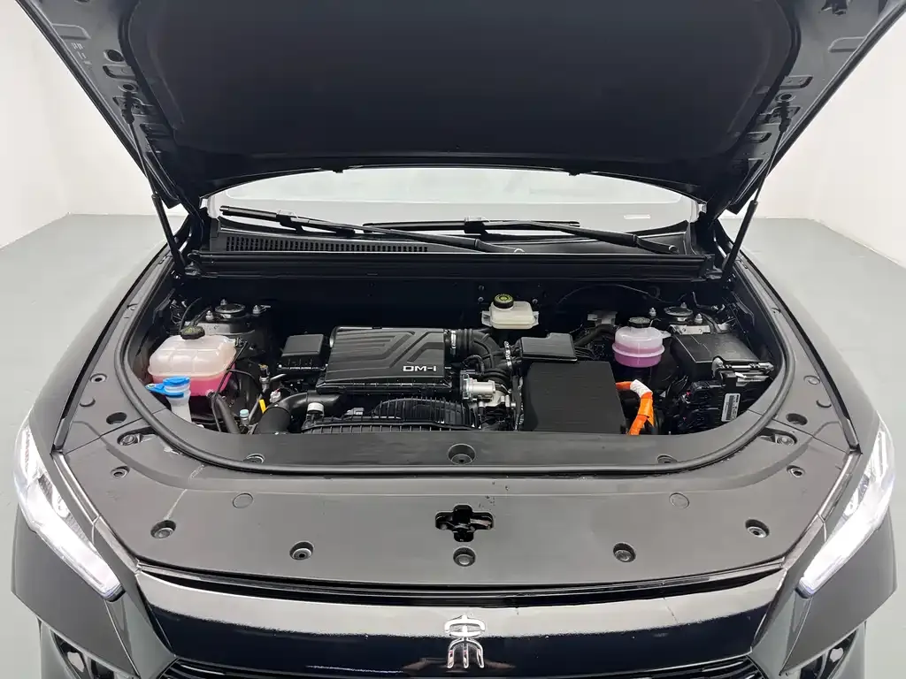 BYD Pro New Energy — фото 7
