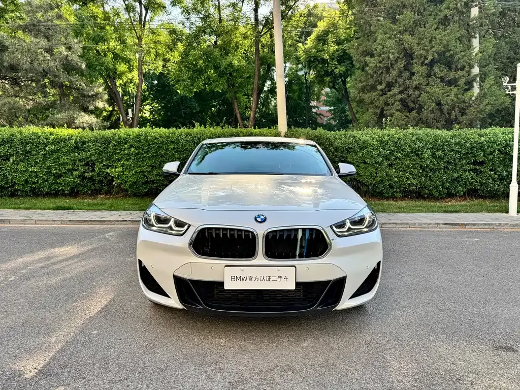 BMW X2 2021 из CN, фото 10