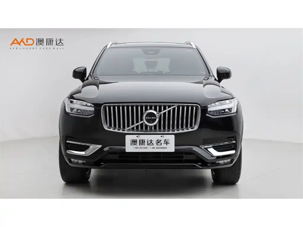 Volvo XC90 — фото 9