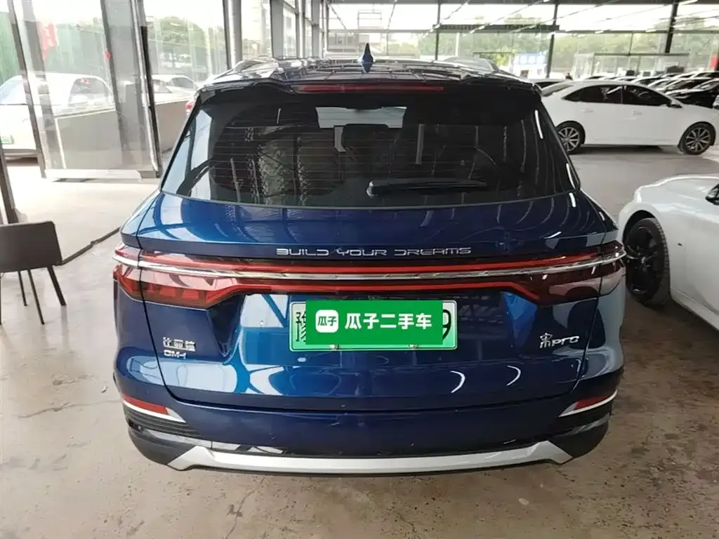 BYD Pro New Energy — фото 10