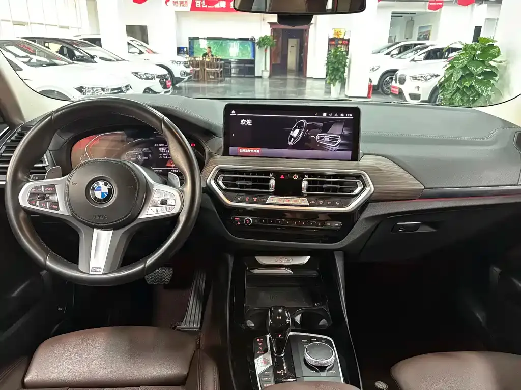 BMW X3 — фото 10