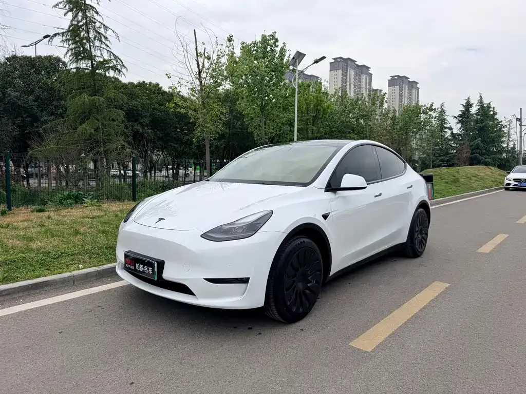 Tesla Model Y — фото 1
