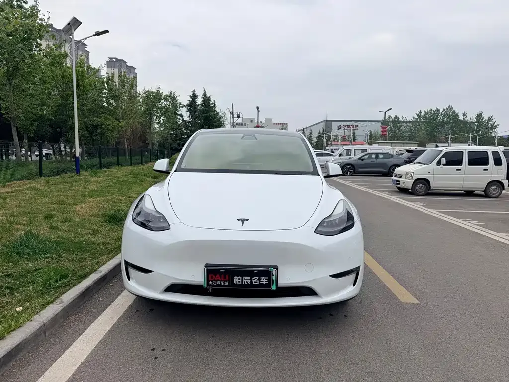 Tesla Model Y — фото 4