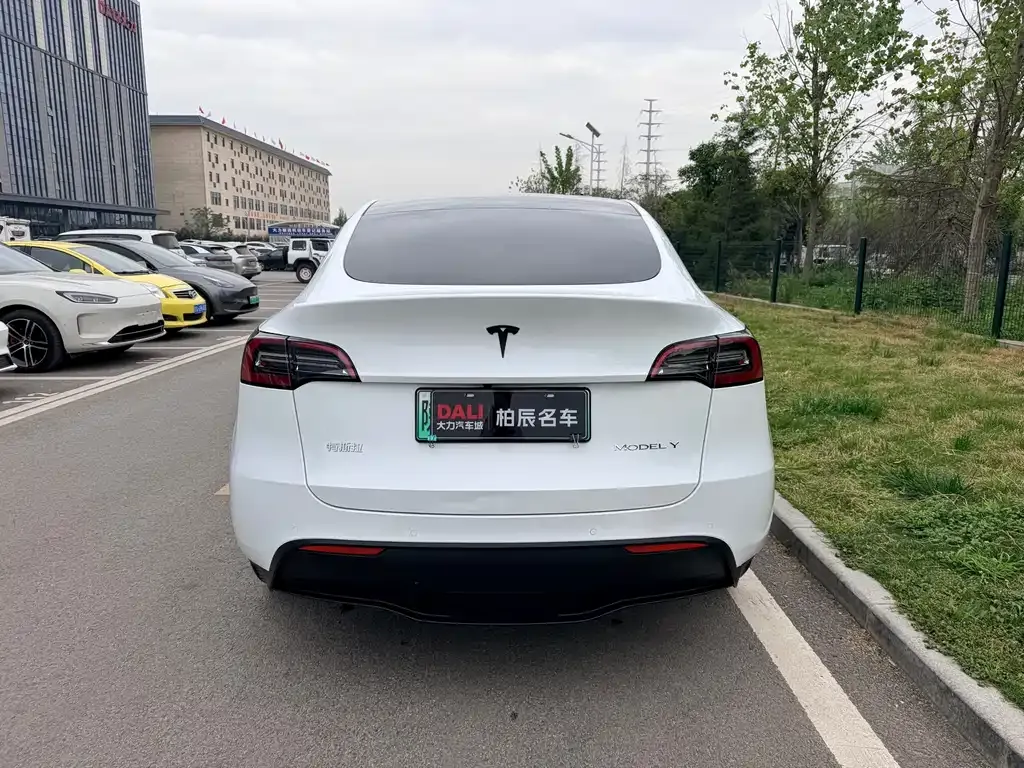 Tesla Model Y — фото 6