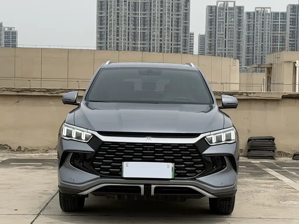 BYD Pro New Energy 2024 из CN, фото 9