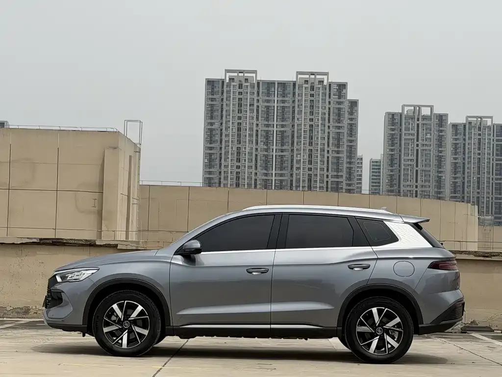 BYD Pro New Energy 2024 из CN, фото 2