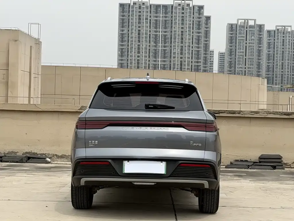 BYD Pro New Energy 2024 из CN, фото 5