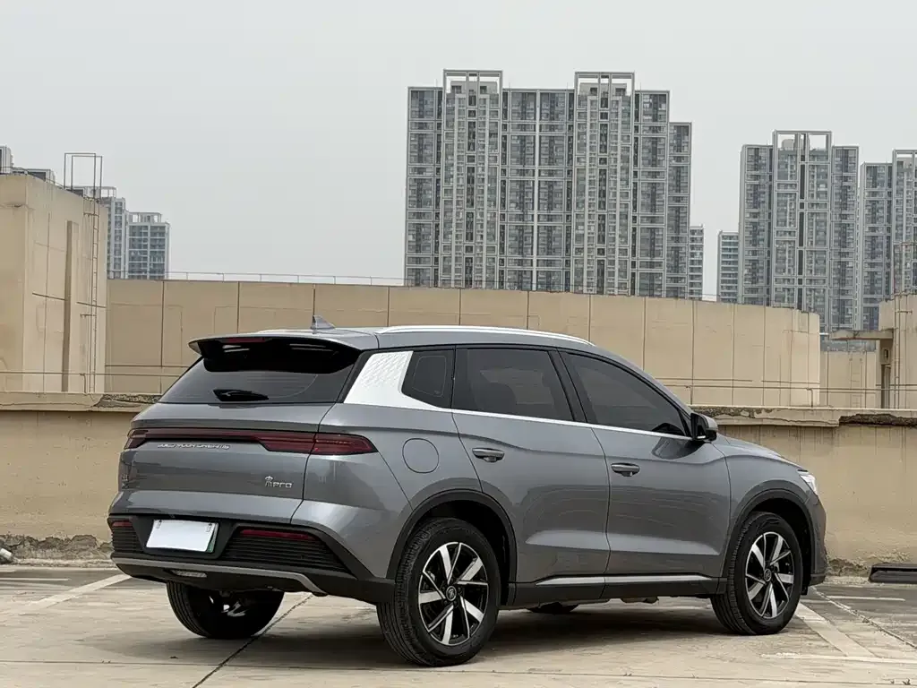 BYD Pro New Energy 2024 из CN, фото 6