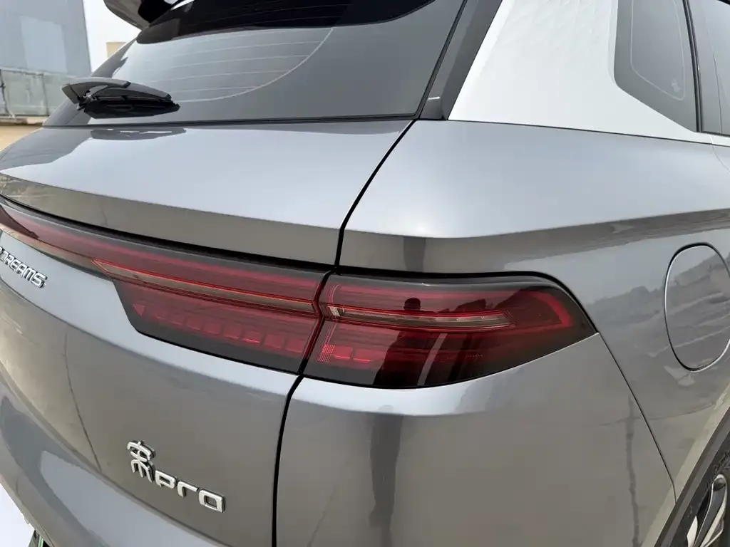 BYD Pro New Energy 2024 из CN, фото 10