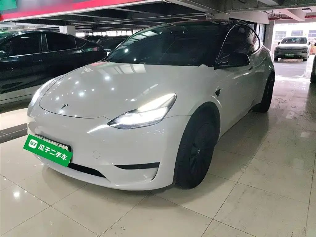 Tesla Model Y — фото 8