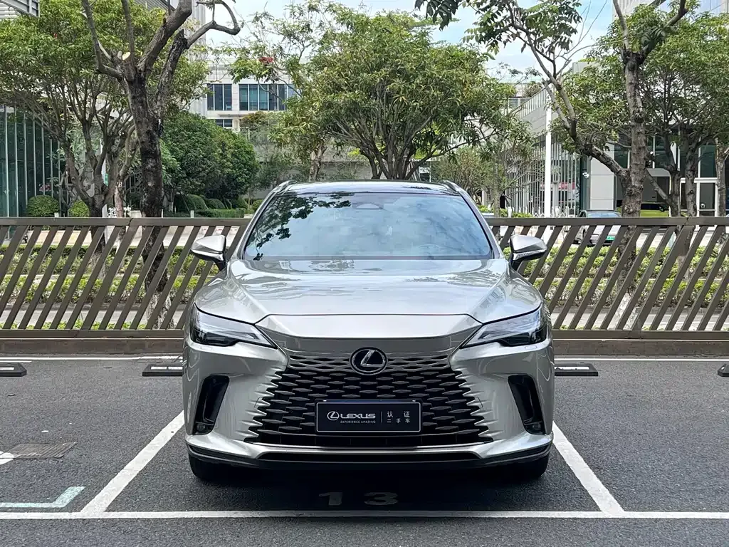 Lexus RX — фото 10