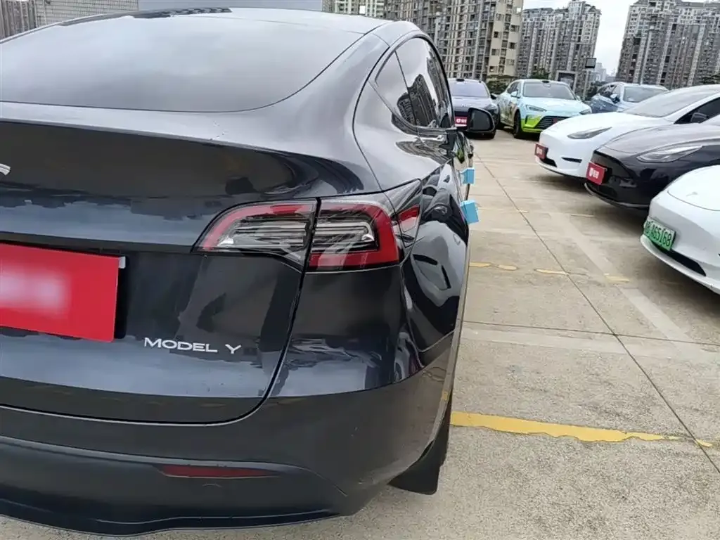 Tesla Model Y — фото 2