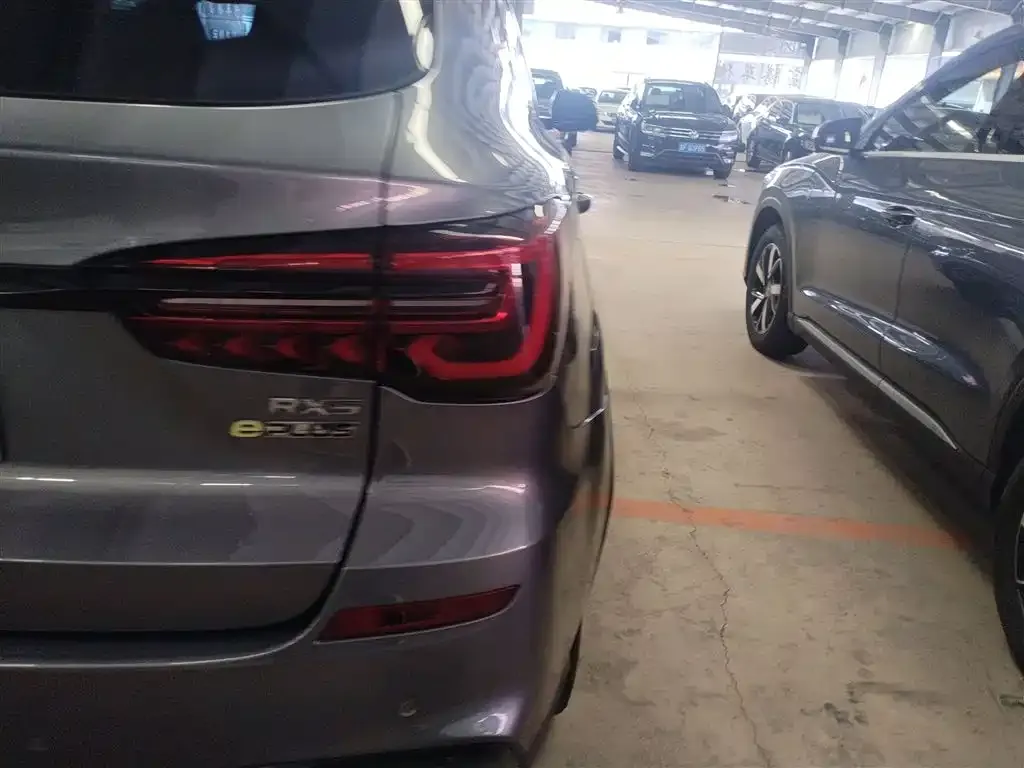Roewe RX5 New Energy 2021 из CN, фото 10