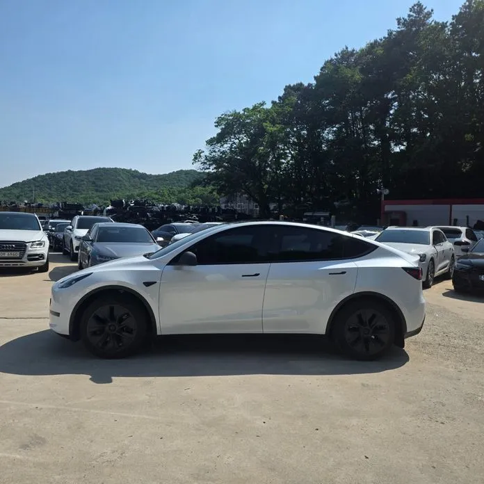 Tesla Model Y — фото 10