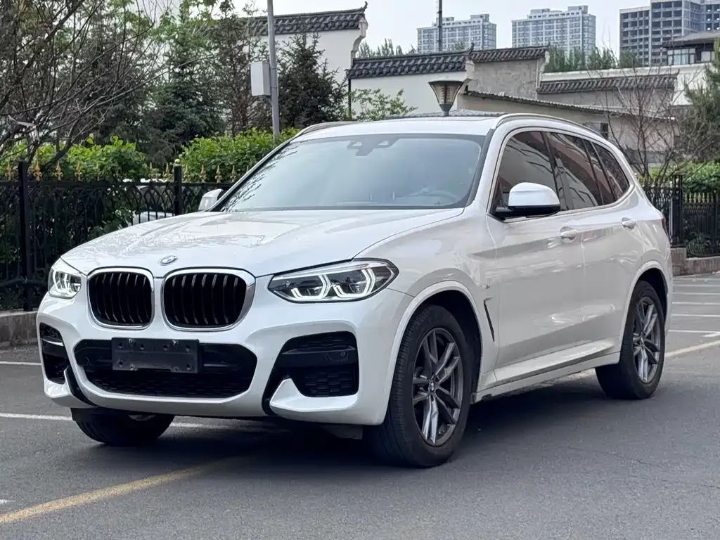 BMW X3 — фото 1