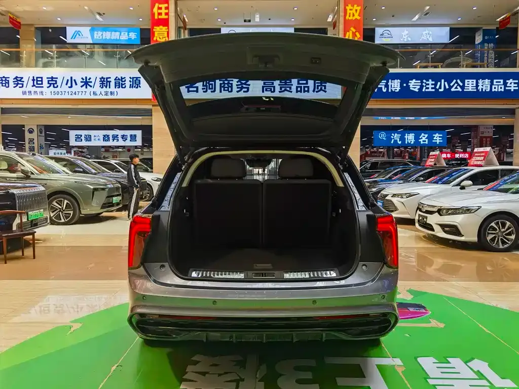 Hongqi E-HS9 — фото 2