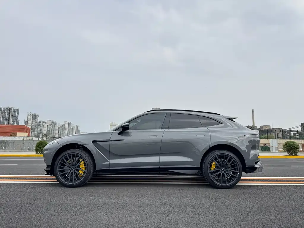 Aston Martin DBX 2026 из CN, фото 10