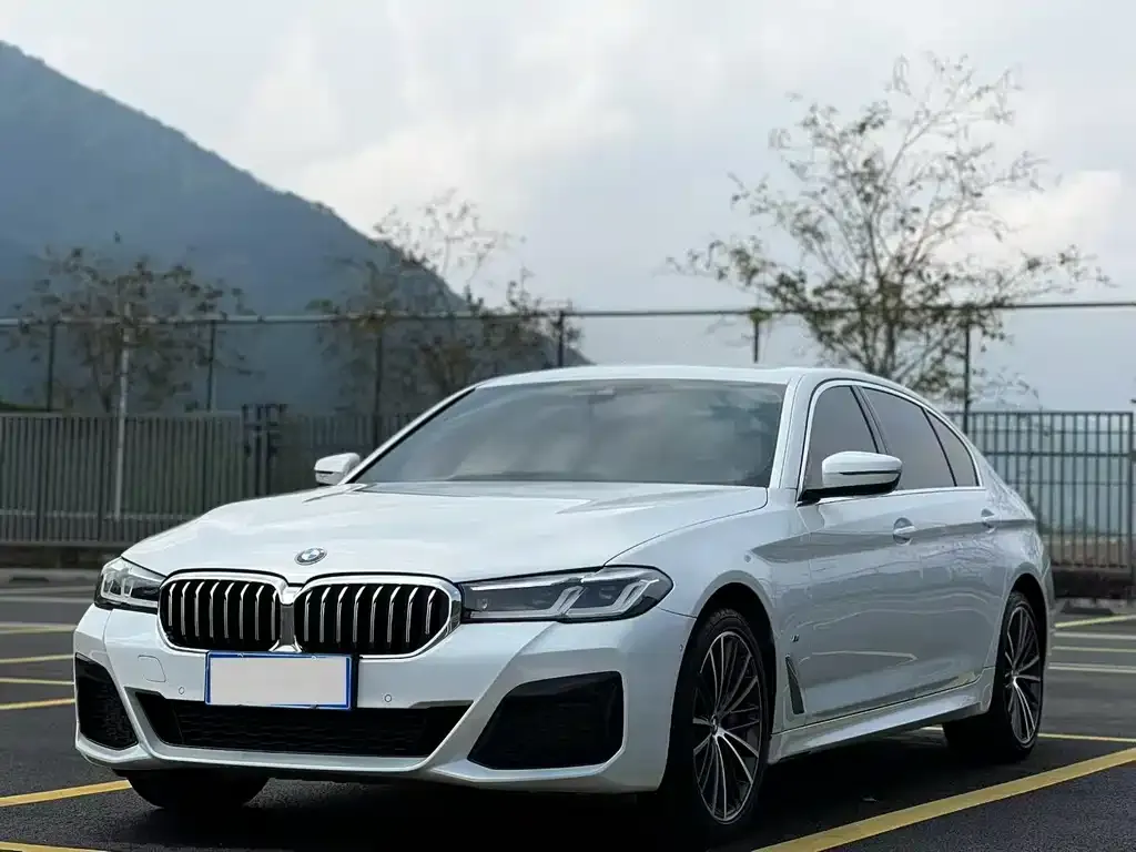 BMW 5 Series — фото 1
