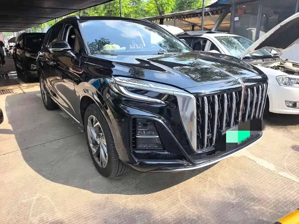 Hongqi HS3 PHEV 2025 из CN, фото 10